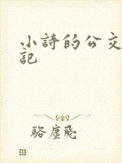 小诗的公交车日记