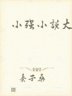 小强小说大全封面