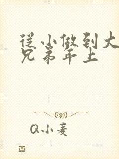 从小做到大骨科兄弟年上