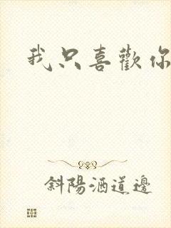 我只喜欢你封面