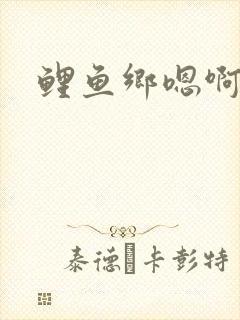 鲤鱼乡嗯啊