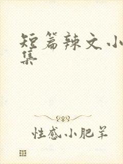 短篇辣文小说合集封面