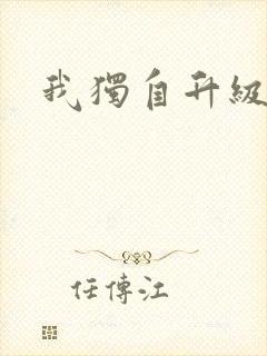 我独自升级小说