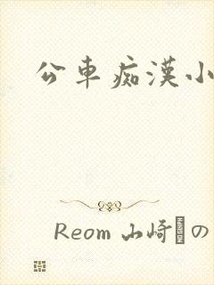 公车痴汉小说