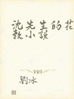 沈先生的花式调教小说封面