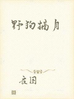 野狗摘月