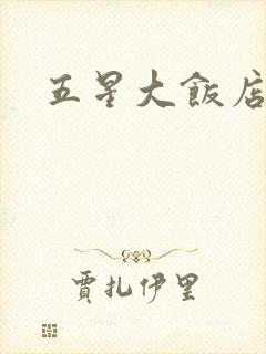 五星大饭店小说