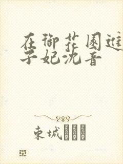 在御花园进入太子妃沈音封面