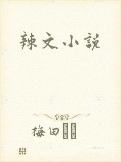 辣文小说