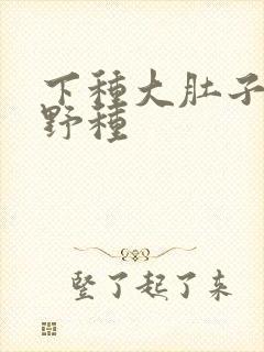 下种大肚子怀孕野种