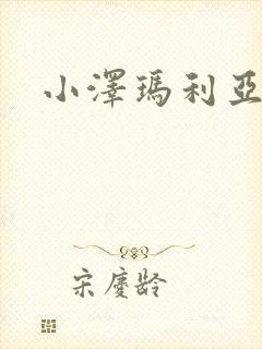 小泽玛利亚作品封面