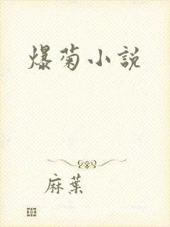 爆菊小说