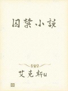 囚禁小说