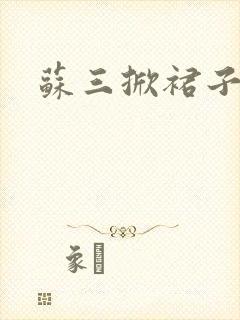 苏三掀裙子封面