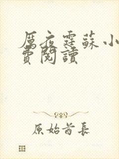 厉夜霆苏小汐免费阅读封面