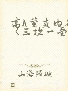 高h荤爽肉欲文〈三攻一受