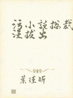 污小说总裁整夜没拔出