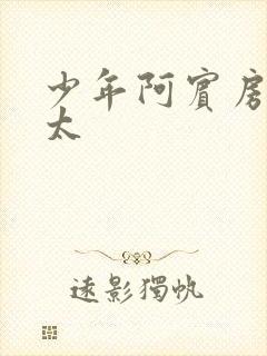 少年阿宾房东太太