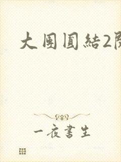 大团圆结2阅读封面