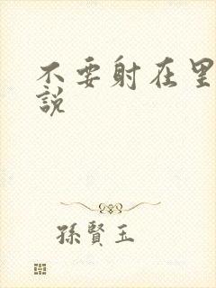 不要射在里面小说