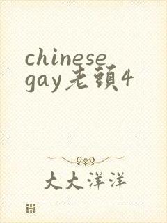 chinesegay老头4