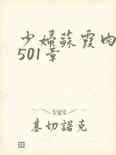 少妇苏霞肉欲第501章