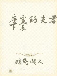 唐家的夫君们帘下衾