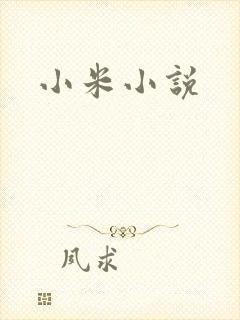 小米小说