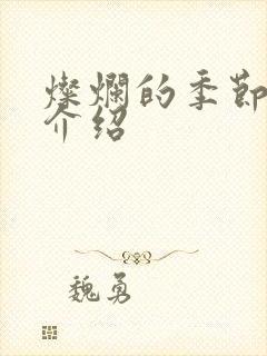 灿烂的季节剧情介绍封面