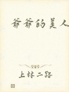 爷爷的美人封面