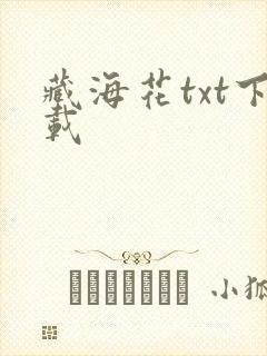 藏海花txt下载