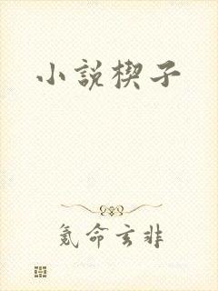 小说楔子