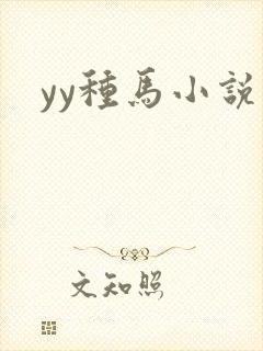 yy种马小说