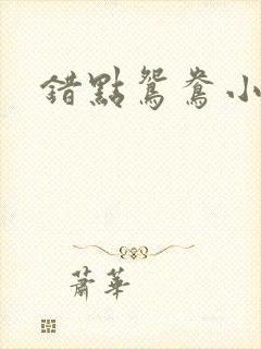错点鸳鸯小说