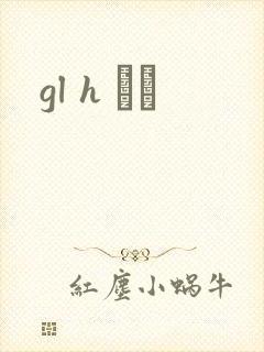 gl h С˵封面