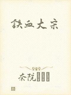 铁血大宋封面