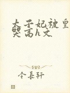 太子妃被皇上c哭高h文封面