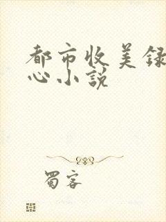 都市收美录宁素心小说