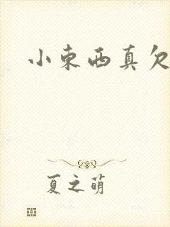 小东西真欠弄封面