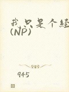 我只是个经纪人(NP)