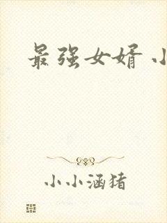 最强女婿 小说封面