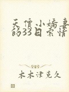 天价小娇妻总裁的33日索情封面