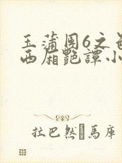 玉蒲团6之色情西厢艳谭小说封面