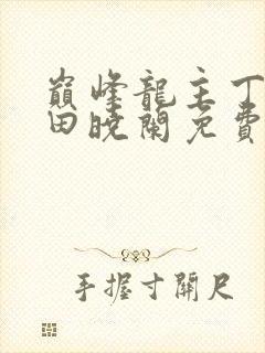 巅峰龙主丁长顺田晓兰免费阅读封面