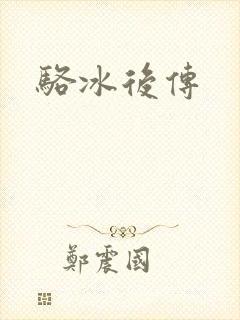 骆冰后传封面