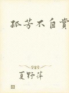 孤芳不自赏小说