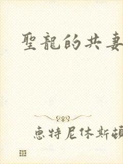圣龙的共妻封面