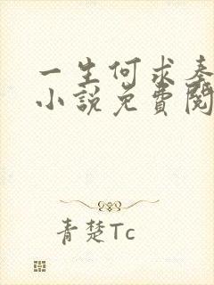 一生何求秦菲雪小说免费阅读封面