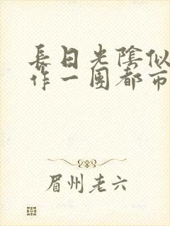 长日光阴似箭乱作一团都市言情封面