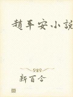 赵平安小说主角